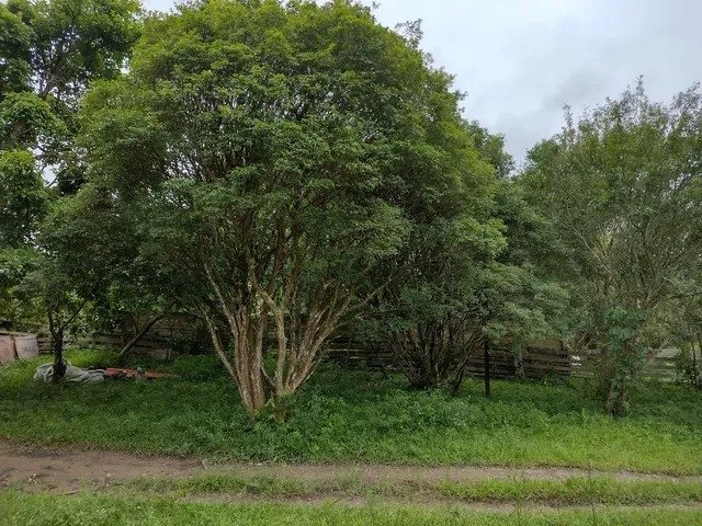 SÍTIO COM 44.000 METROS EM JACAREÍ/SÃO PAULO - Jacareí - 