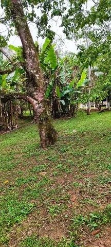 CHÁCARA COM 5.500 METROS EM PINDAMONHAMGABA/SÃO PAULO - Pindamonhangaba - 