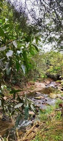 CHÁCARA COM 5.500 METROS EM PINDAMONHAMGABA/SÃO PAULO - Pindamonhangaba - 