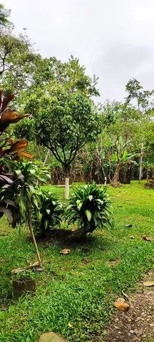 CHÁCARA COM 5.500 METROS EM PINDAMONHAMGABA/SÃO PAULO - Pindamonhangaba - 
