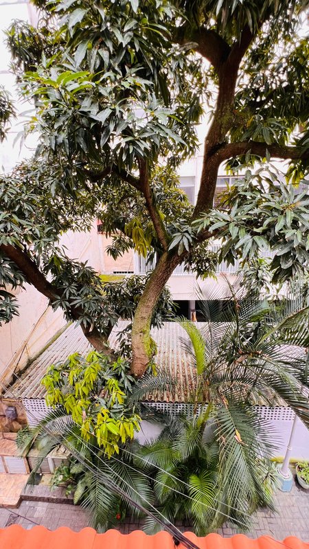 Casa Triplex em Copacabana - Rio de Janeiro - 
