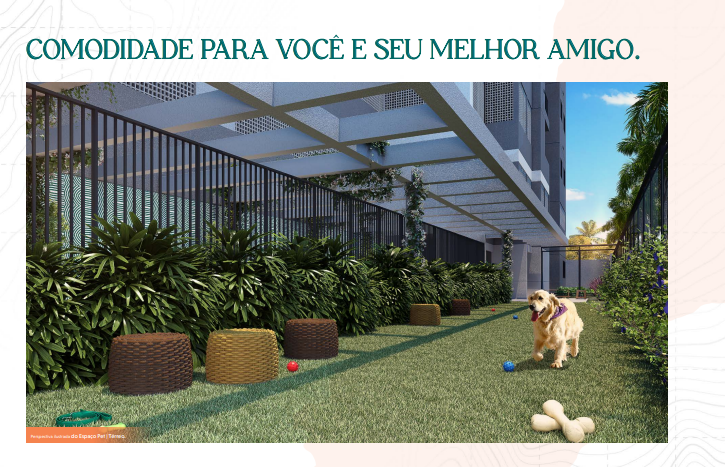 Plantas de 1 e 2 dormitórios  Guarujá - 