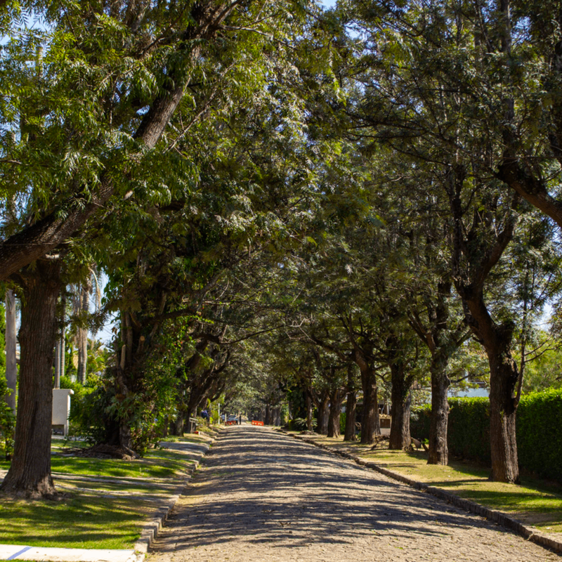 Condomínio Portal da Concórdia Alameda São Paulo Golf Cabreuva - 