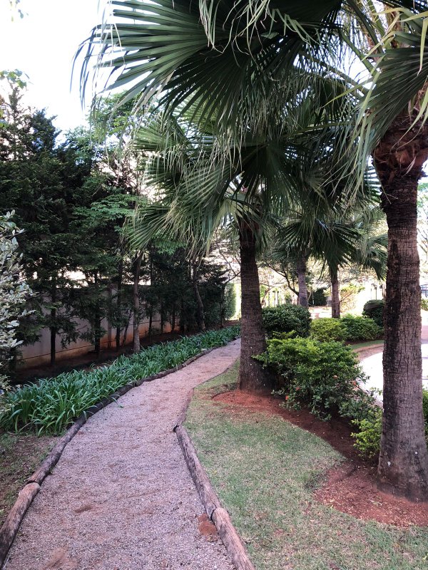 Condomínio Paradiso Vila Romana Rua Fábia São Paulo - 