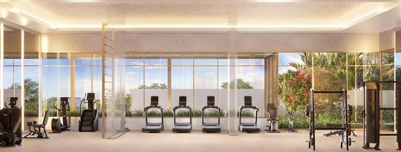 The Palace Oasis Rua Dona Avelina São Paulo - 